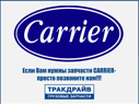 Фото Ремень 3PK725 для Carrier Supra 850 (насоса водяного) CARRIER 50-60329-04